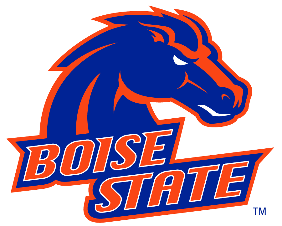 Boise State Broncos 2002-2012 Alternate Logo iron on transfers for clothing